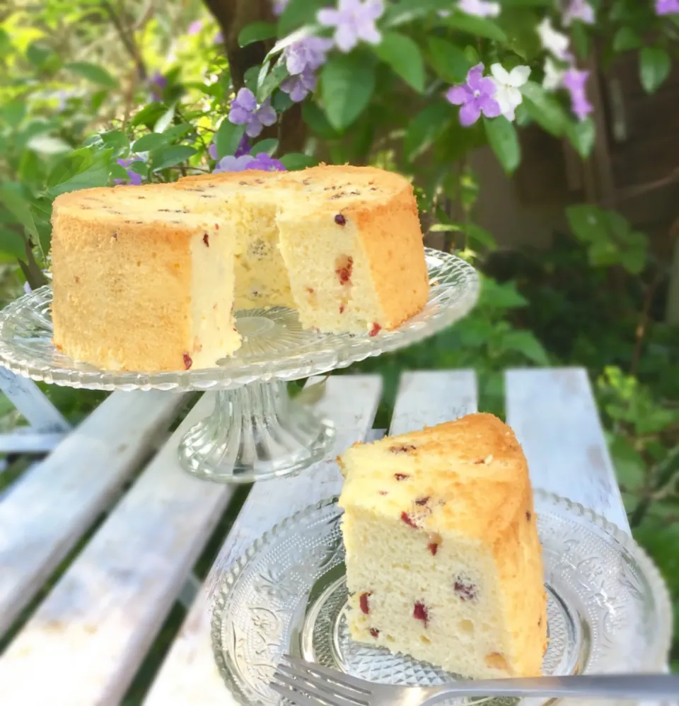 Snapdishの料理写真:ばろんさんの料理 クランベリーとヨーグルトのシフォンケーキ      (✿︎´ ꒳ ` )♡︎|カタツムリさん