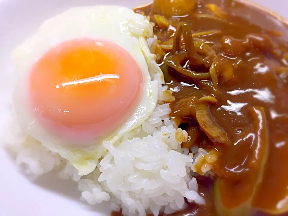 肉じゃがからのリメイクカレー🍛
(^^)和風にね〜っ！👍|Yukihiko Ishidaさん