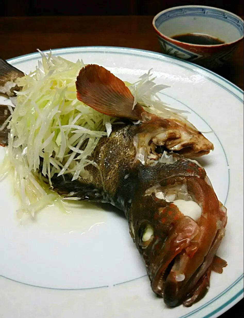 清蒸鮮魚 😻 今夜はキジハタ😋|あらいぐまのしっぽさん