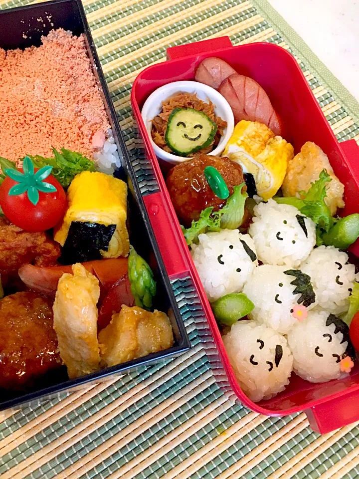 Snapdishの料理写真:#コロコロお握りお弁当 
#たらこそぼろお弁当|Yuki Kawasumiさん