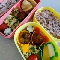 Snapdishの料理写真:幼稚園児と女子高生のお弁当

 #お弁当
 #幼稚園児のお弁当
 #女子高生のお弁当|せおりつさん