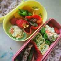 幼稚園児と女子高生のお弁当

 #お弁当 
 #幼稚園児のお弁当
 #女子高生のお弁当|せおりつさん