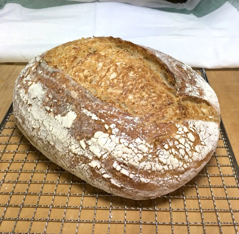 Sourdough Country Bread (a big loaf approx. 1000g)|gonbenさん