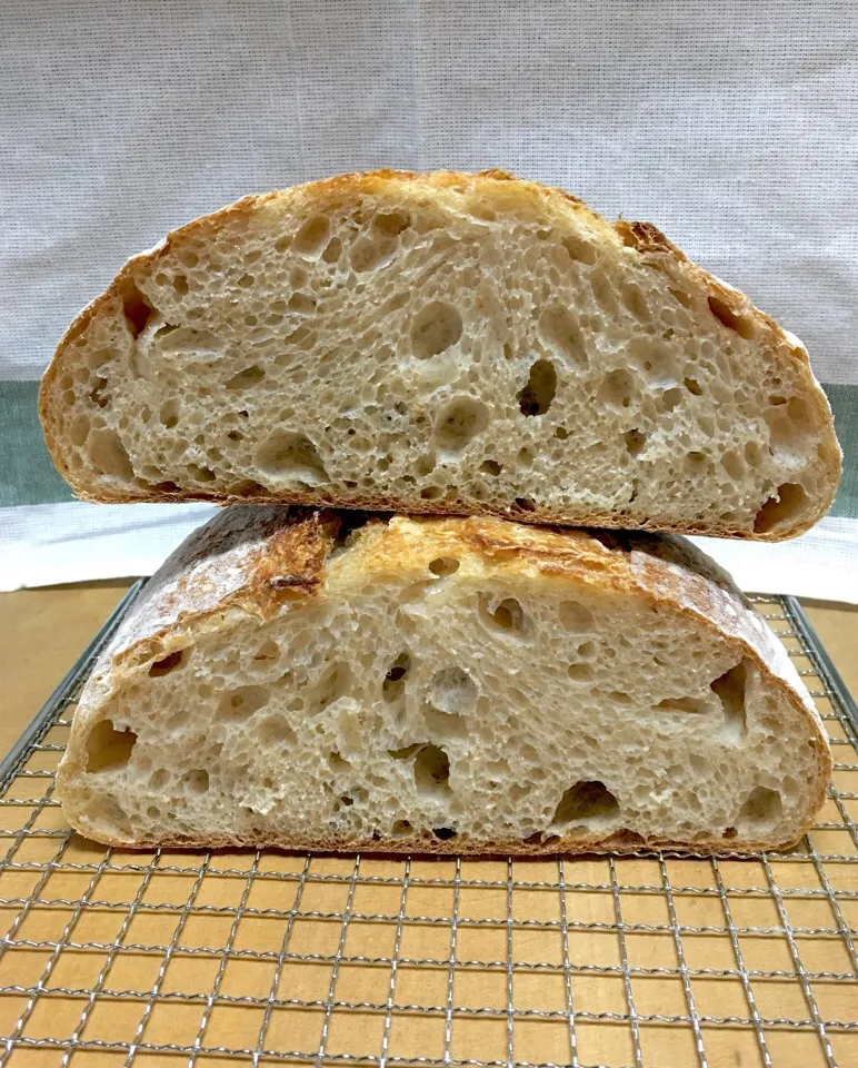 the cut face of the bread I've just posted / did six tiimes of the stretch and fold / a wonderfully airy, chewy inside.|gonbenさん