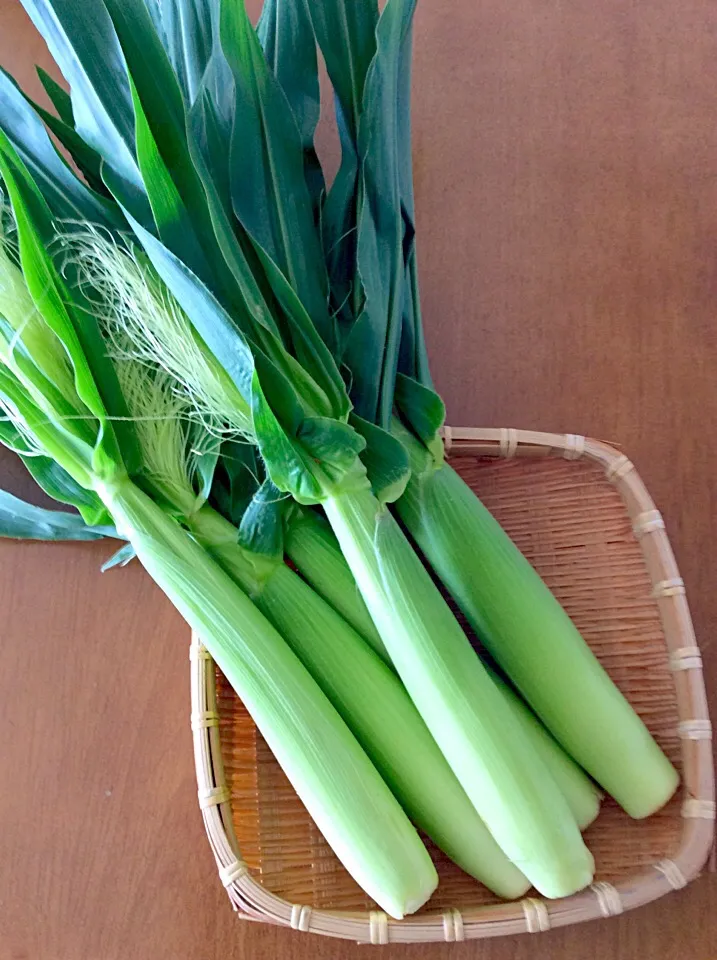 #ヤングコーン|kaorinさん