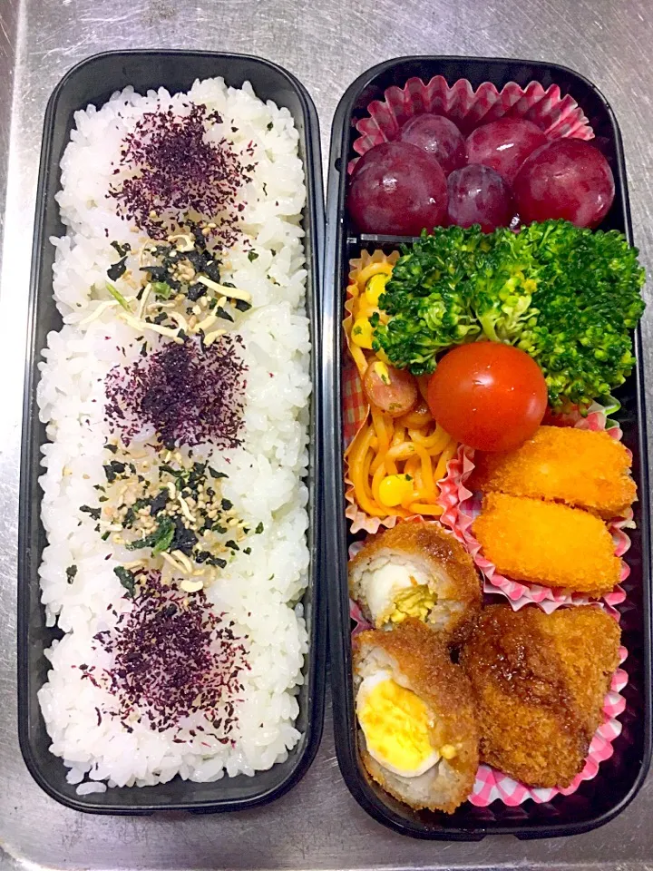 スコッチエッグ弁当#高校生男子弁当 #息子弁当|友美さん