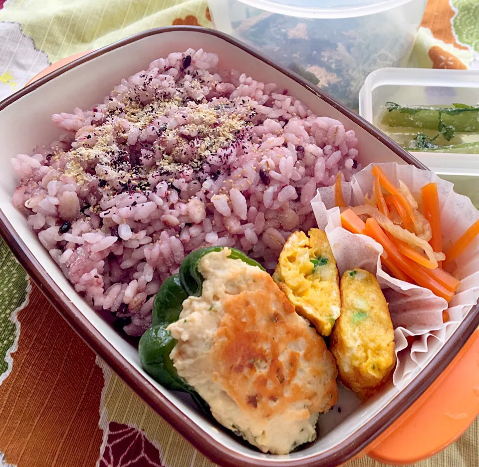 Snapdishの料理写真:単身赴任の昼ごはん☀️
🍴ピーマン肉詰め弁当🍱🍴
ピーマン肉詰め
ネギ入り卵焼き
切り干し大根煮
野沢菜漬
黒米麦ご飯  ゆかり、顆粒ダシ、すり胡麻
海苔、ワカメ、とろろ昆布のお汁|ぽんたさん