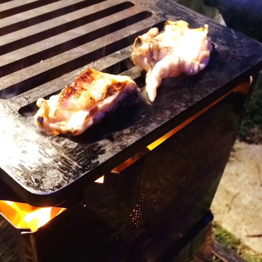 庭で焼きホルモン|せんぼんさん