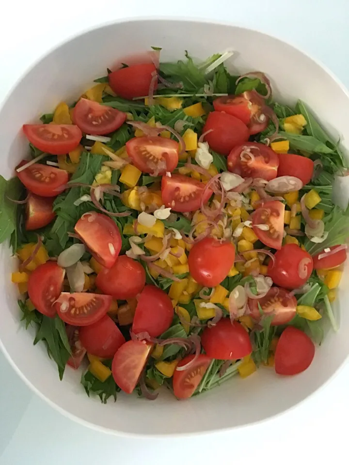 Salad with mizuna, bell pepper, cherry tomatoes and myoga|Ong Sor Fernさん