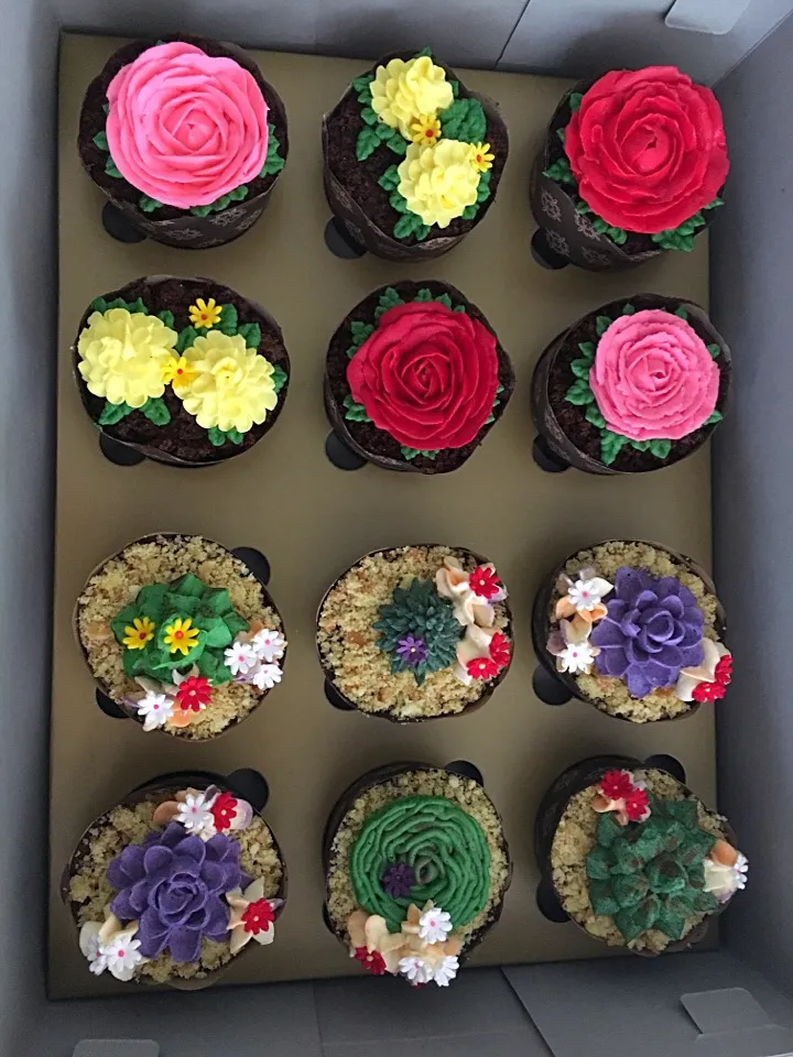 Garden and anthurium themed cupcakes 🌺🌵|Anna🍎さん