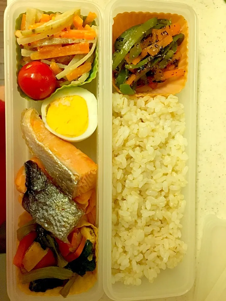 フライパン🍳ひとつで10分お弁当🍱  今日は鮭弁当🐟 ★焼き鮭 ★茹で卵 ★小松菜の煮浸し ★ゴボウサラダ ★ピーマンと人参の胡麻和え ★押麦入り胚芽米ご飯  #フライパンひとつ #10分お弁当 #簡単弁当 #時短 #手作り #鮭弁当|横井朱里さん