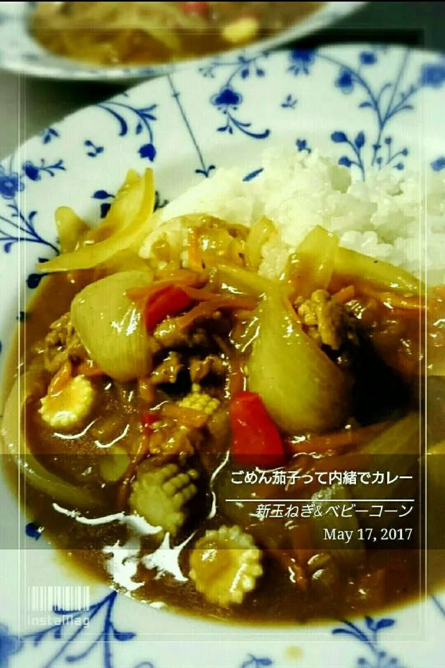 ごめん茄子って内緒でカレー
 #カレーの日(1月22日) 
 #カレー記念日(6月2日) 
 #カレーライス 
 #なす苦手|幸せまちこさん