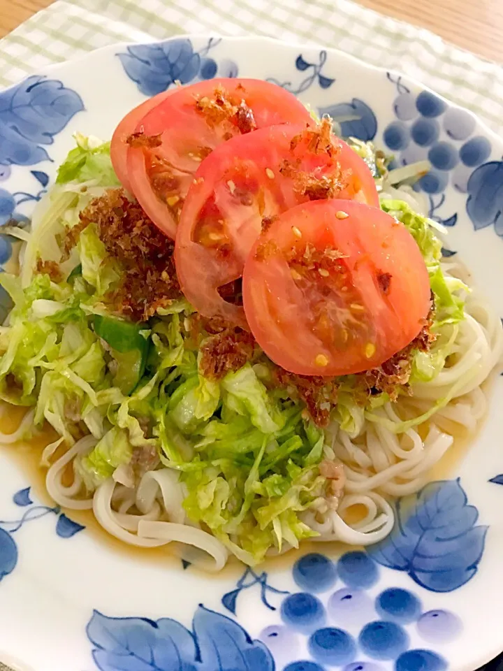 真夏日にスッキリ冷やし#サラダうどん 🥗|keitanさん