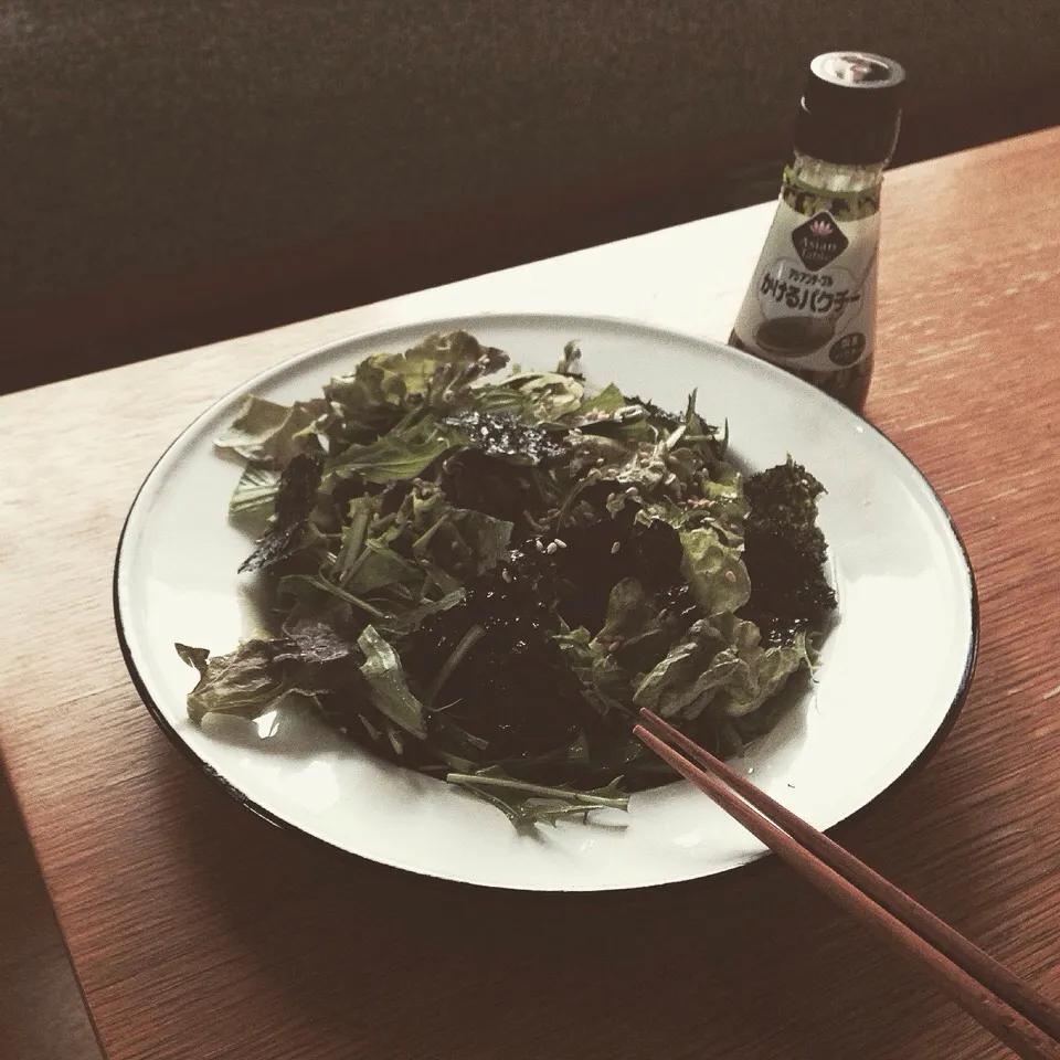 Snapdishの料理写真:🌿チョレギパクチーサラダ🥗|Imanaka Yukikoさん