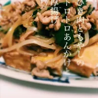 ひき肉ともやしのトロトロあんかけと厚揚げ|wdskさん