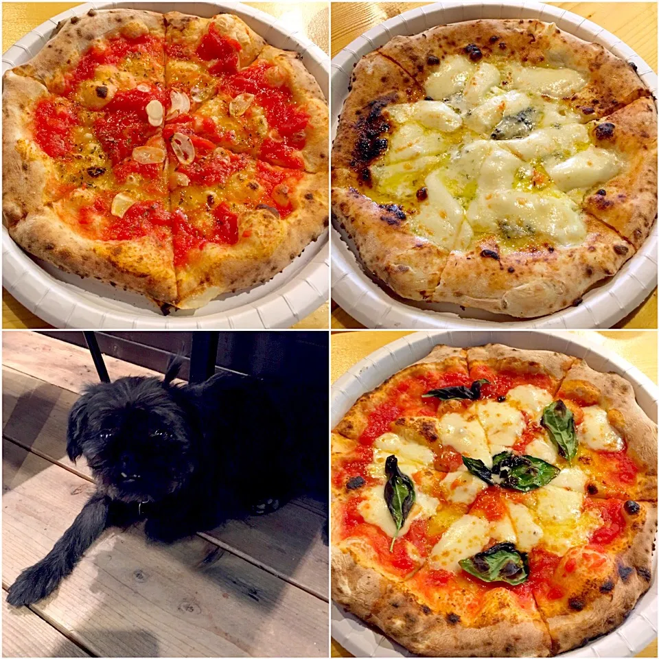 友だちが来たのでラッキーなランチ♬
#ピザ #pizza #昼ごはん #お昼ごはん #lunch #cosi-cosi|Yoshinobu Nakagawaさん