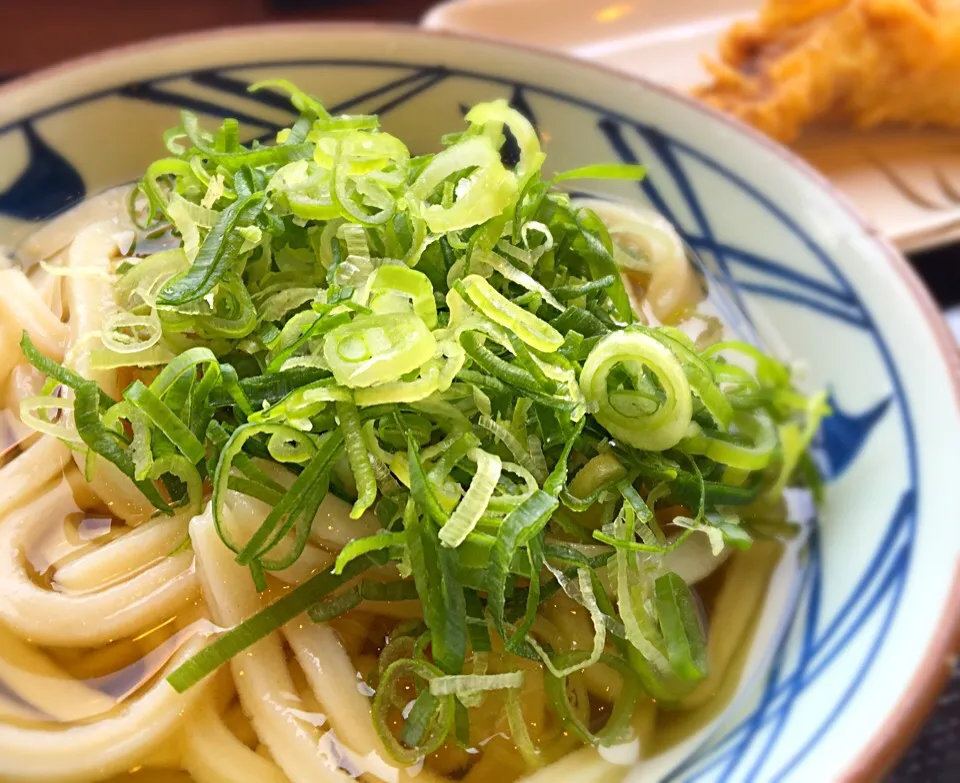 単身赴任の昼ごはん
冷かけ
とり天ｺｹｯ🐔|ぽんたさん