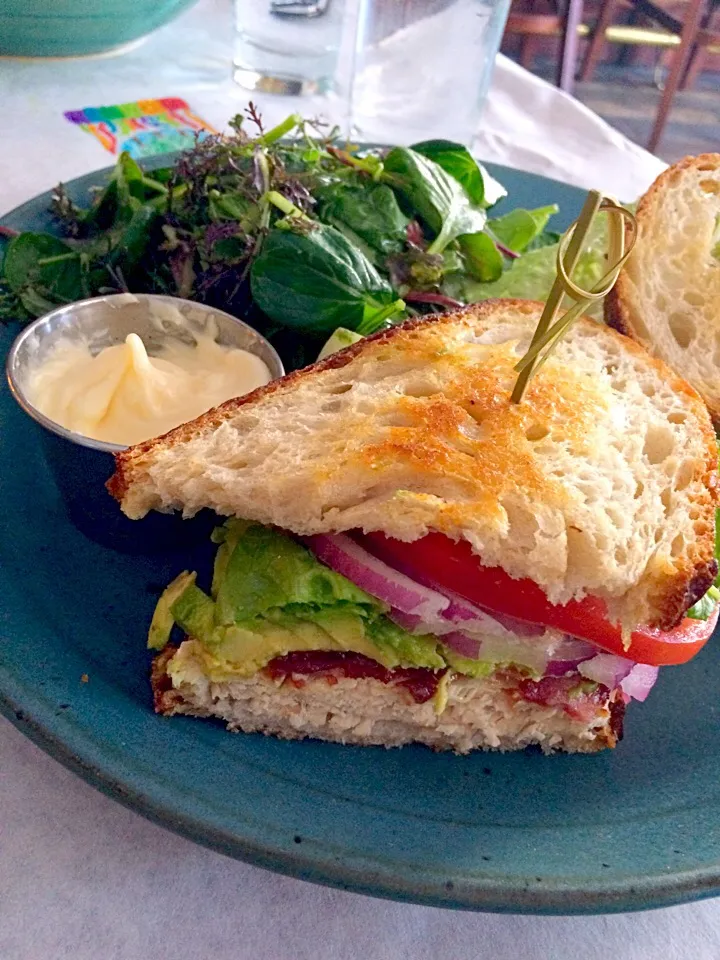 Turkey club with maple wood bacon, avocado, and a side of mayonnaise with a simple kale salad @ Redwood Uptown in Kingston, NY, 05-21-17|Morcone Girlsさん