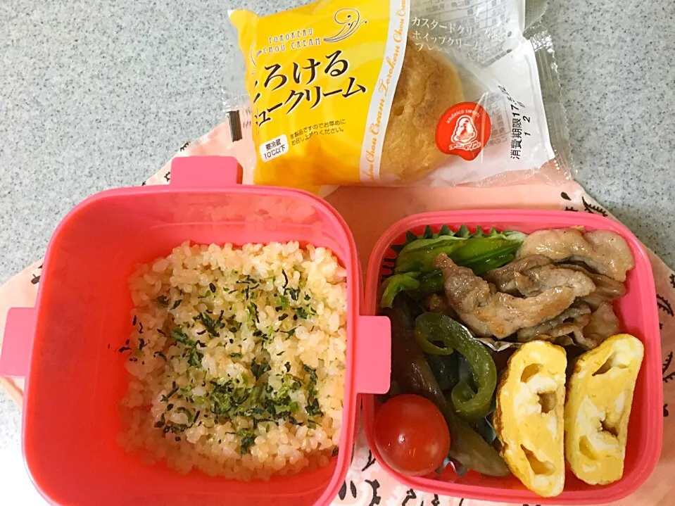 ☆5/22今日のお弁当☆〜豚肉の甘辛炒め、だし巻き卵、ナスとピーマンの味噌煮、トマト、おやつのシュークリーム付き〜|Satokoさん