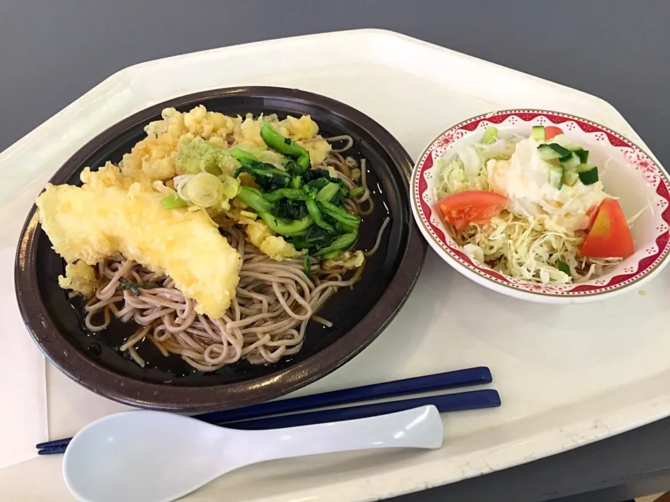 Snapdishの料理写真:ざる蕎麦、イカ天、青菜、揚げ玉、ポテトサラダ|Tadahiko Watanabeさん