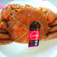 Snapdishの料理写真:パパが北海道から送ってくれた毛ガニ♪|Yasmin-Bratzさん