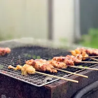 Snapdishの料理写真:焼き鳥|Hiroyuki Umetsuさん