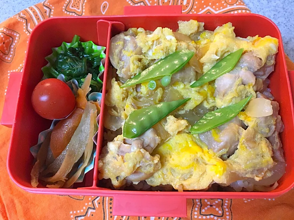 ☆5/23今日のお弁当☆〜親子丼、きんぴら、ほうれん草のドレ和え、トマト〜|Satokoさん