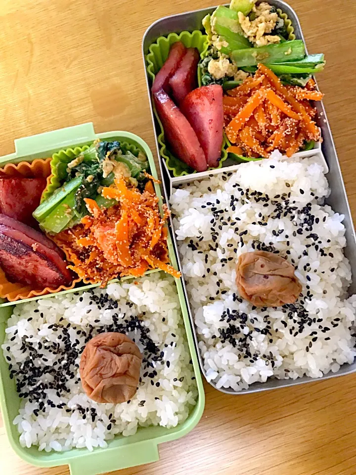 人参たらこしりしりと小松菜の卵炒め弁当。パパママ仕事弁当。|めぐりんさん