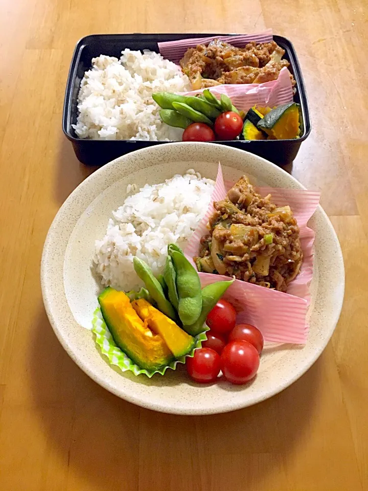 Snapdishの料理写真:2017/5/23パパ弁&高二長女テストプレートランチ|あくびママさん