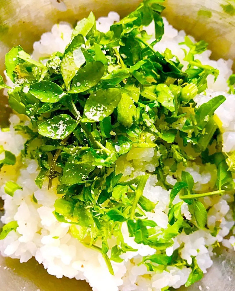 クレソンたっぷりパルメザンオリーブオイルごはん🍚✨🌿|みうのすけさん