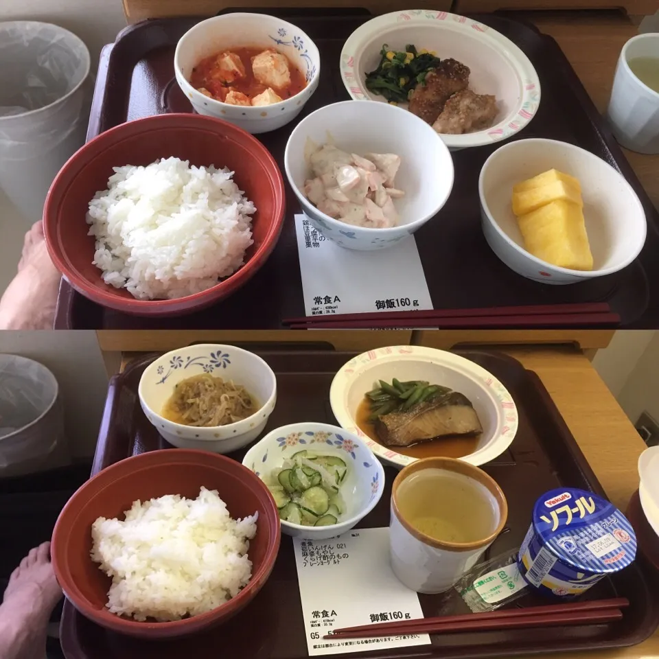 #病院食#食事制限#糖尿病対応食|畑田 成治さん