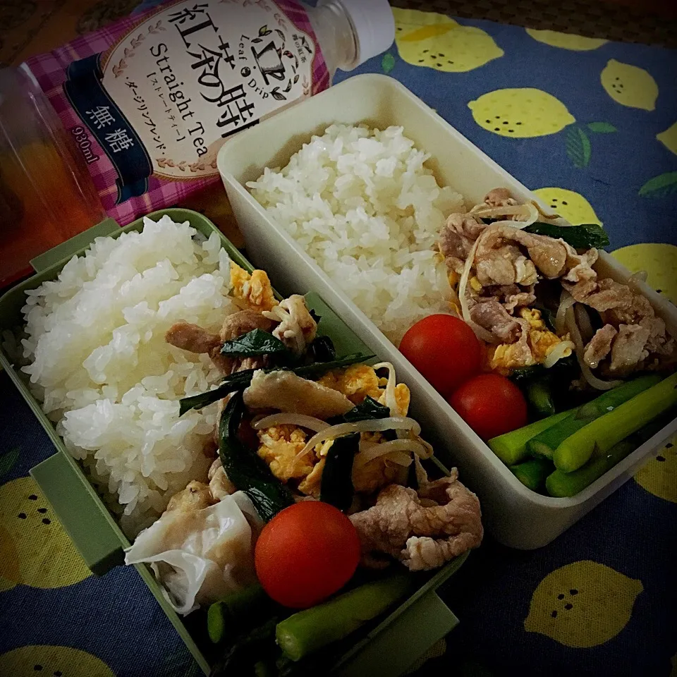 #お弁当 #お昼ご飯 #紅茶の時間 

5.24 今日のお弁当🍱|renharuruさん