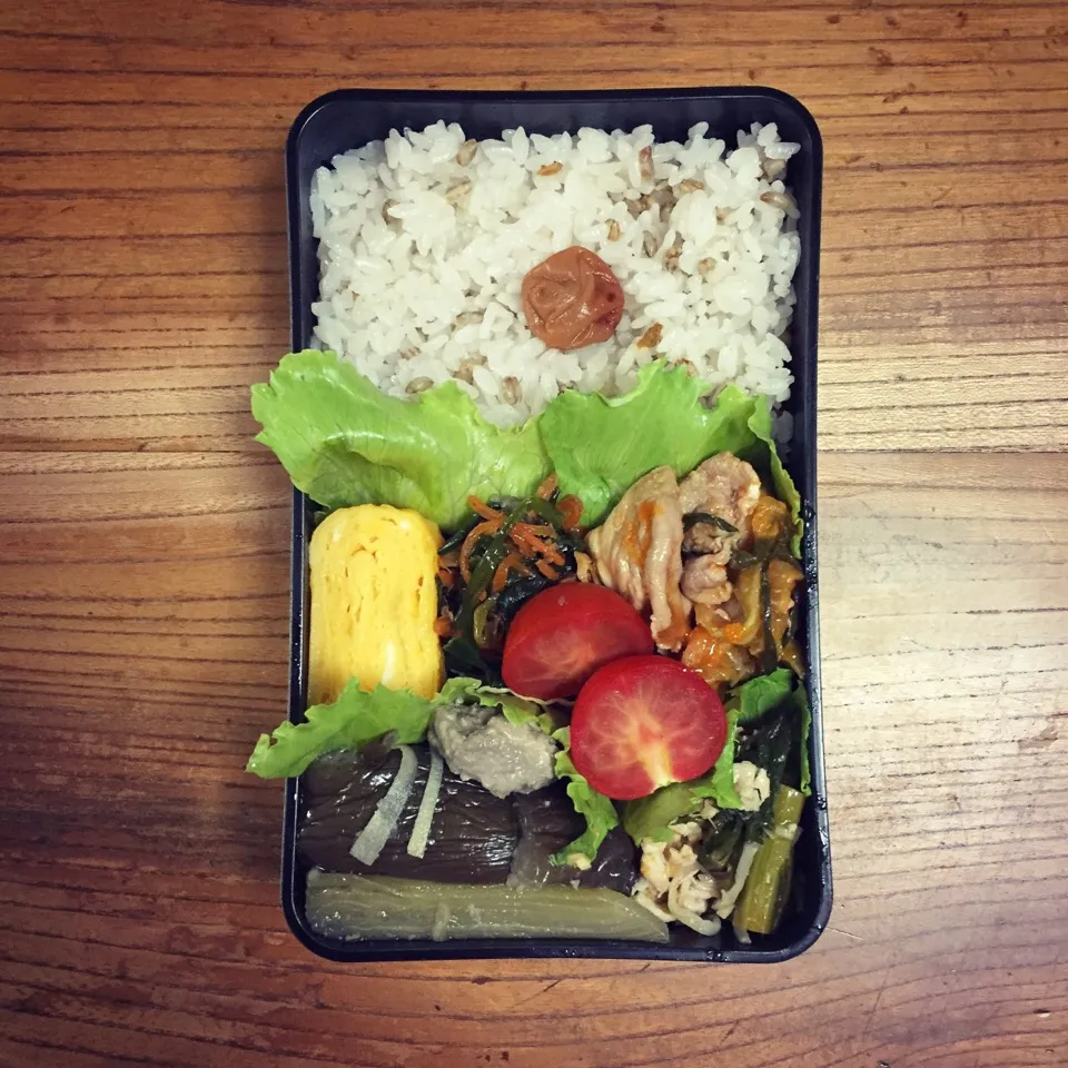 24 May 2017#lunchbox #lunch #お弁当|はーさん