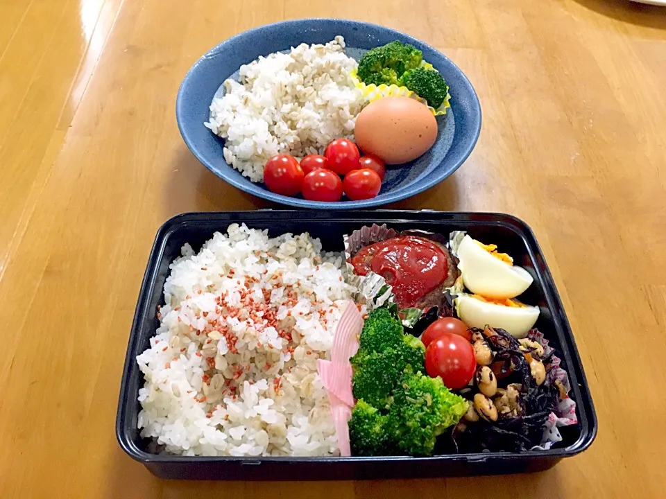 2017/5/24パパ弁&高二長女テストプレートランチ(ドライカレーは冷蔵庫👍)|あくびママさん