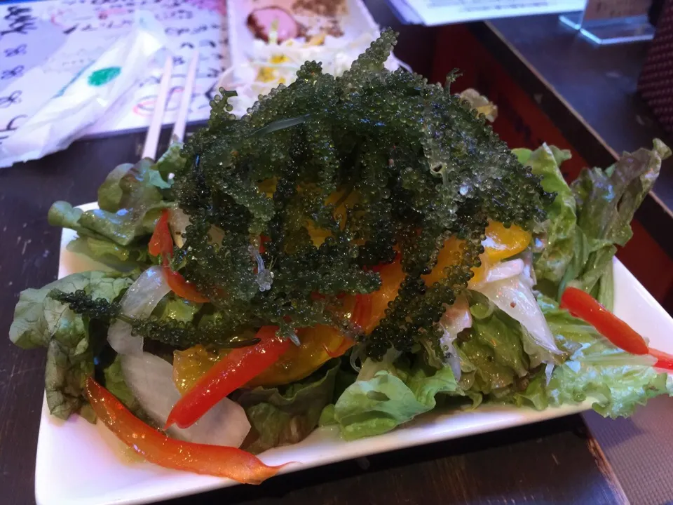 Umi budo, Sea Grape Salad|Kkartsさん