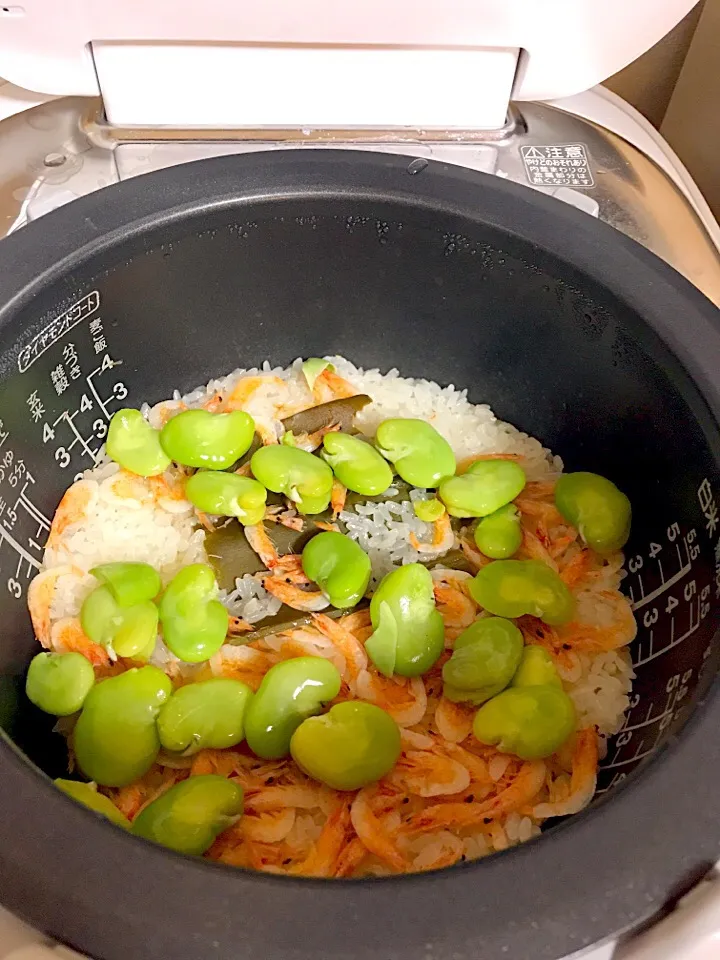 初夏ご飯   ソラマメ、桜エビのたきこみご飯。|絹マンマさん