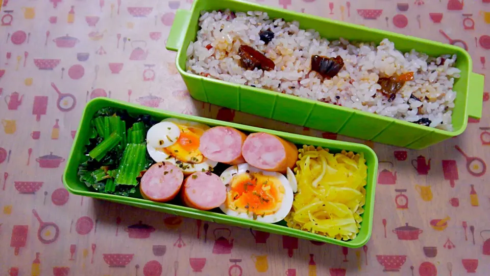 ５月17日　お弁当|いもこ。さん