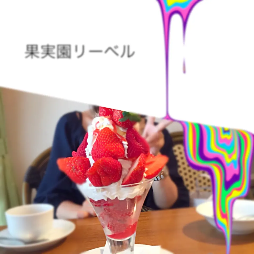 果実園リーベル🍓目黒店にて|まっつー🐾さん