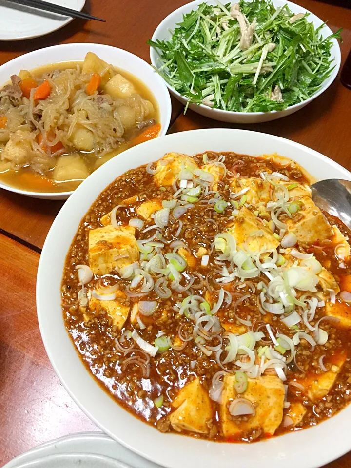 四川風麻婆豆腐 肉じゃが 水菜とツナのサラダ(๑•̀ㅂ•́)و✧|ザクロさん