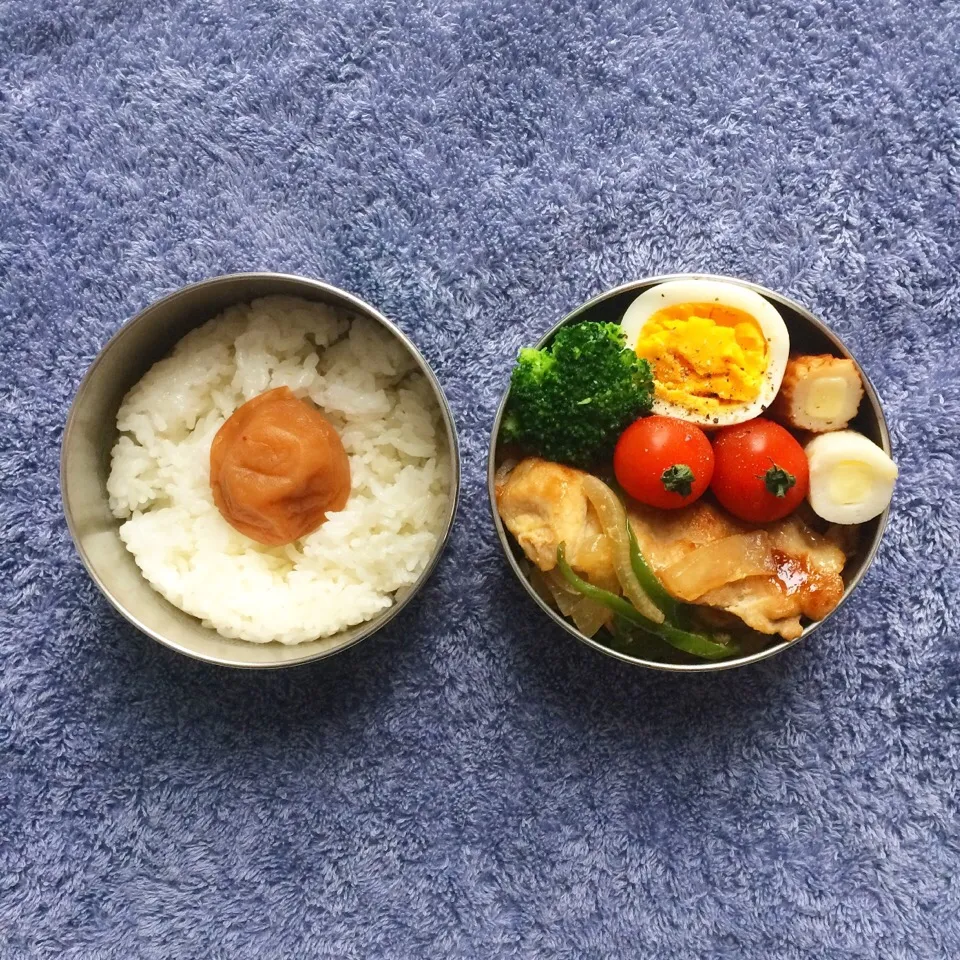 今日のお弁当|nasupiyukoさん