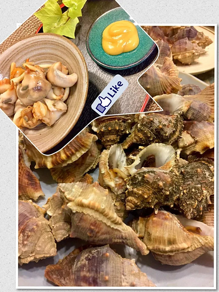 Snapdishの料理写真:『ニシ貝を🐚お酒と塩でツボ茹で』
からし酢味噌をたっぷりからめて。シンプルだけど意外な美味しさ❣️|paaruさん