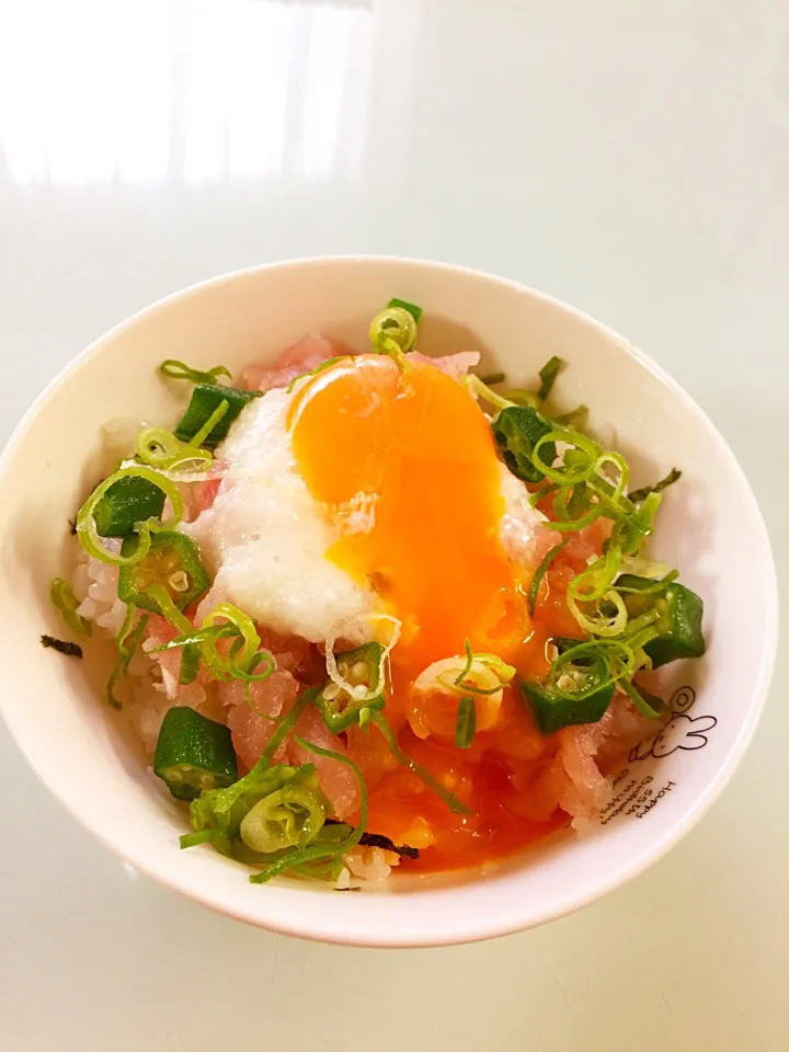 2017/05/25 ネギトロ山かけ丼( *´艸`)|愛華さん