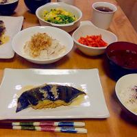 カレイの煮付け
豆苗と卵のガリバター炒め
シーチキンと大根の和え物
カクテキ