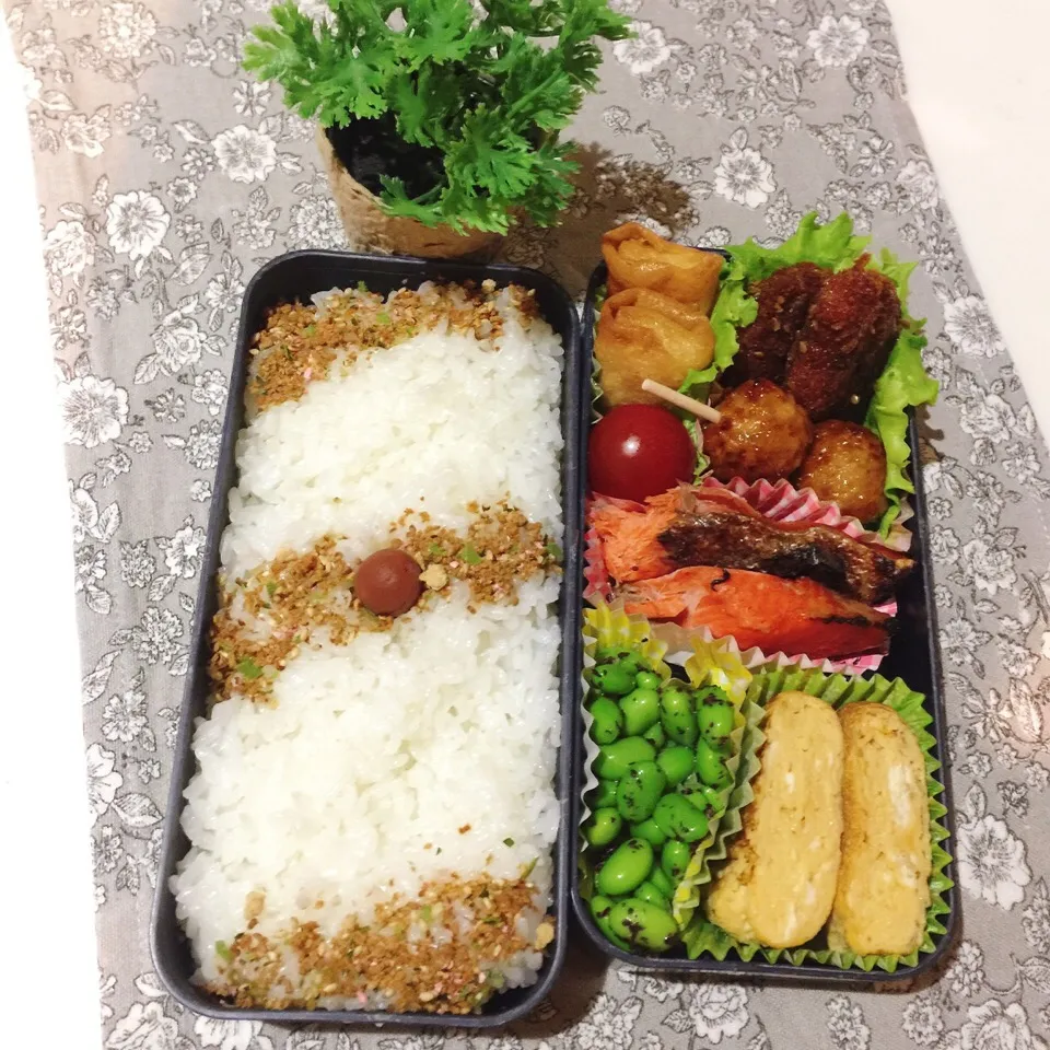 5/26❤︎主人のお弁当❤︎|Makinsさん