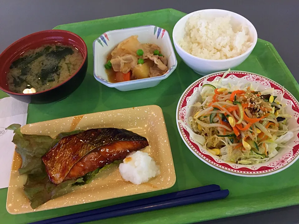 鮭の照焼、肉じゃが、中華サラダ|Tadahiko Watanabeさん