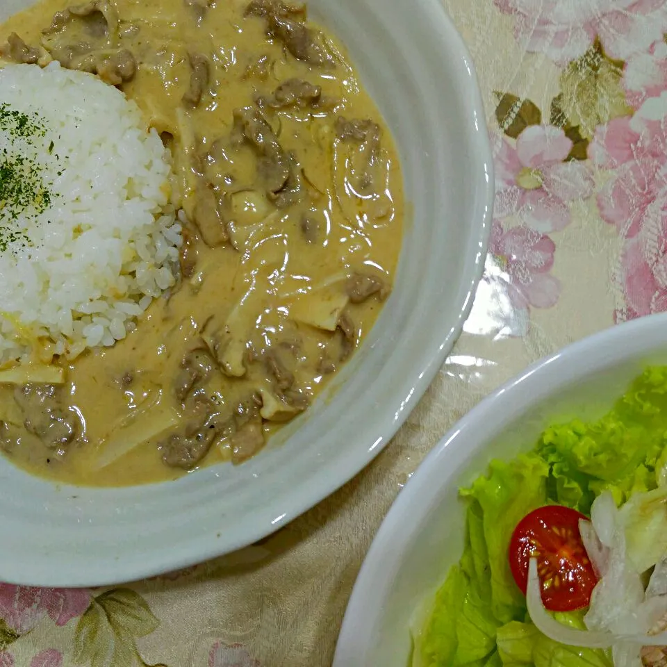 ビーフストロガノフとサラダ|たえさん