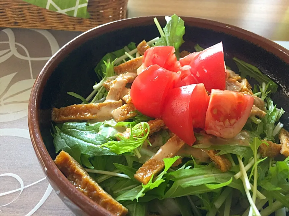 土曜日な昼ごはん
冷やしうどんの水菜と稲荷揚げとトマトのゴマだれ|かよちゃんさん