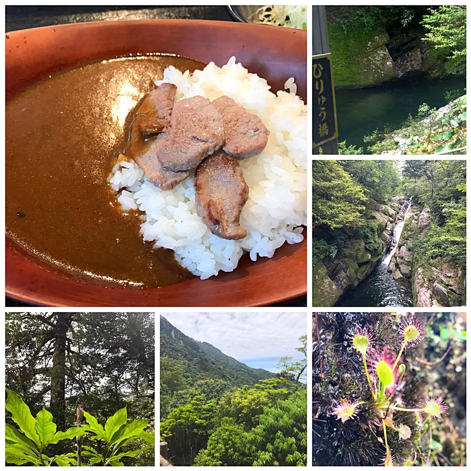 Snapdishの料理写真:屋久島シカ肉カレー|肉大好きさん