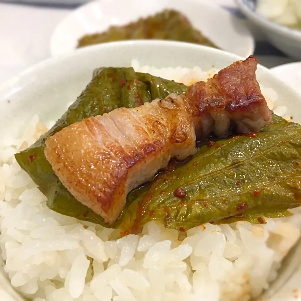 サムギョプサルパーティー エゴマの葉醤油漬けと豚とご飯を一緒に食べると🍚天国✨ #ケンニプ #エゴマの葉醤油漬け|ヨッチャンさん