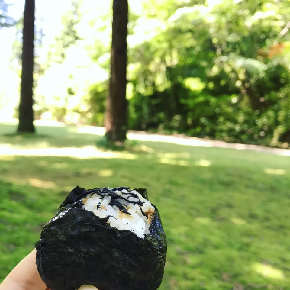 おにぎり持って公園へ|麻紀子さん